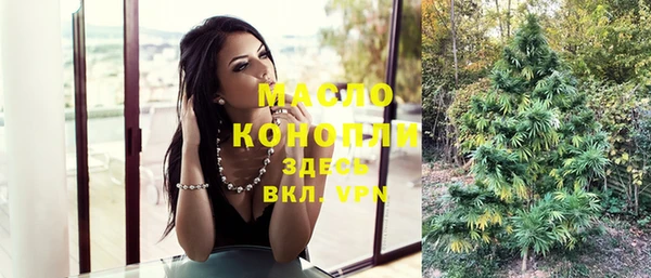 крисы Абдулино