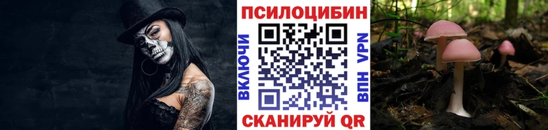 Галлюциногенные грибы GOLDEN TEACHER  где купить наркоту  Берёзовка 